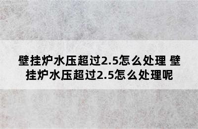 壁挂炉水压超过2.5怎么处理 壁挂炉水压超过2.5怎么处理呢